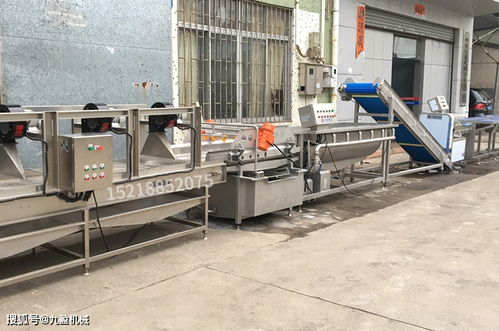 凈菜鮮切加工流水線設(shè)備大全